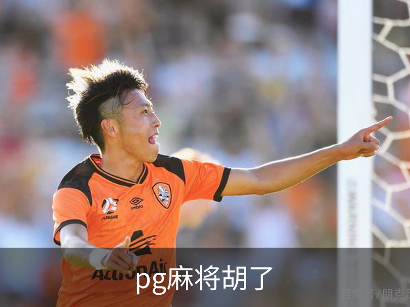 了解pg麻将胡了